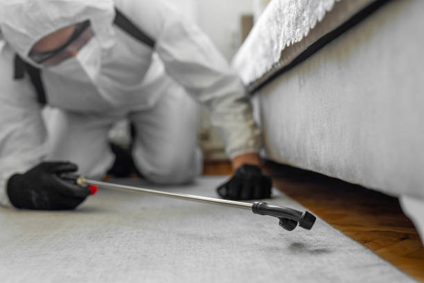 Professional Bed Bug Control technician working in Hood County County, TX